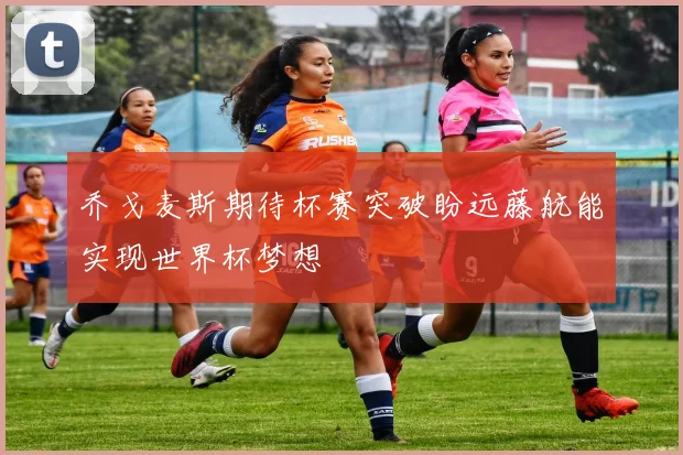 乔戈麦斯期待杯赛突破盼远藤航能实现世界杯梦想